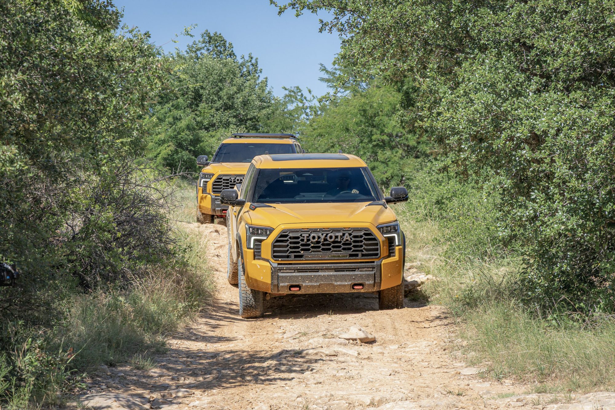 Pickup Toyota TRD Pro naranja entre la vegetación
