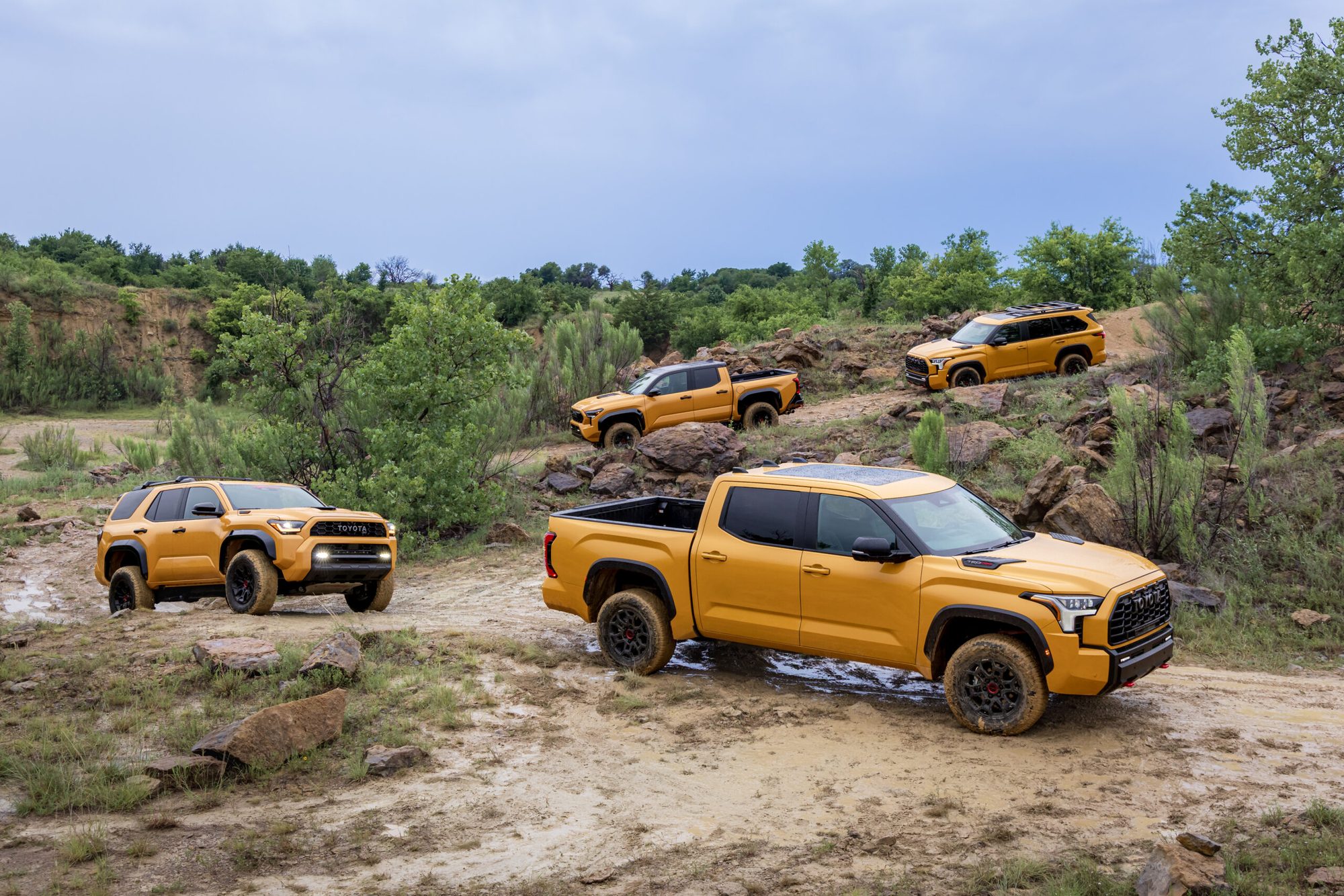 Cuatro modelos Toyota TRD Pro en un recorrido todoterreno